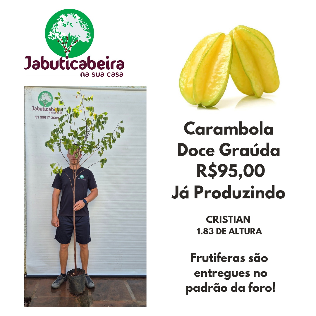 Carambola